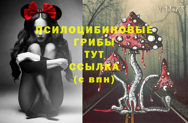 мяу мяу мука Няндома