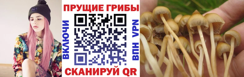Псилоцибиновые грибы ЛСД  Ступино 