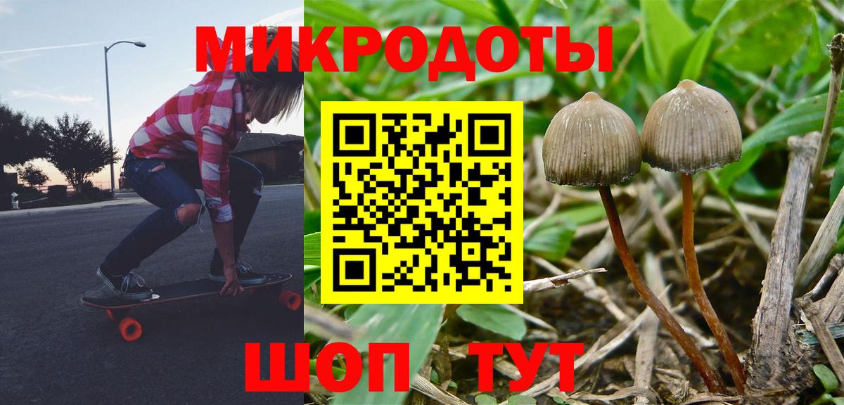 Ступино  купить наркоту  Вход с VPN  Галлюциногенные грибы GOLDEN TEACHER 